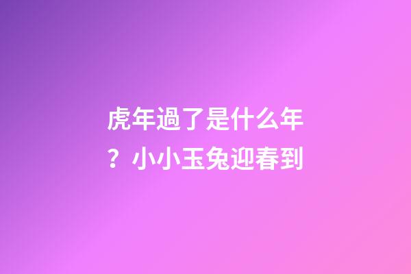 虎年過了是什么年？小小玉兔迎春到